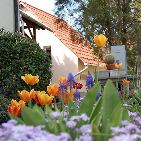 אגר Maya Guesthouse מראה חיצוני תמונה