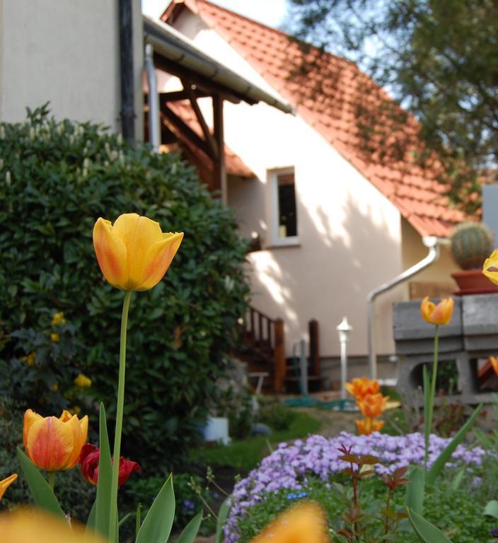 אגר Maya Guesthouse מראה חיצוני תמונה